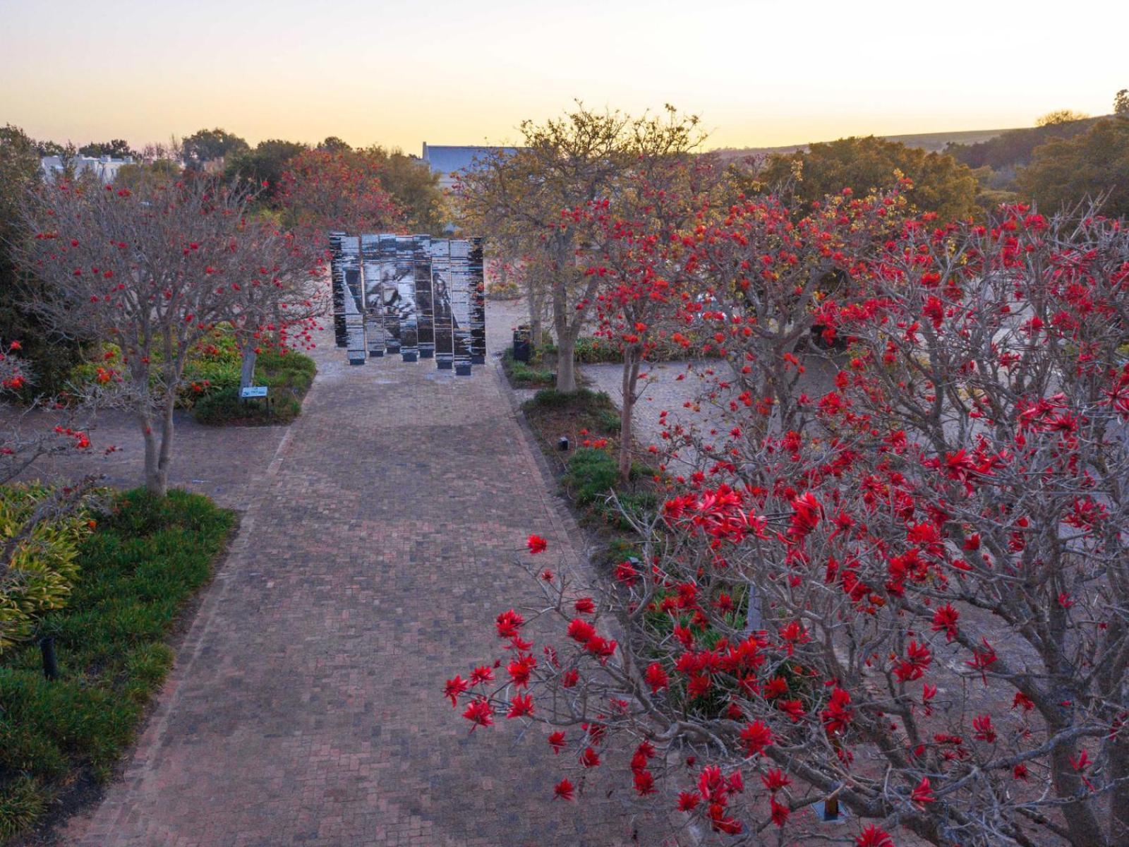 Spier Hotel&Wine Farm Stellenbosch Exterior foto